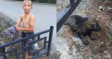 12-aastane Aleksander päästis üleujutatud kraavist väikese kutsika