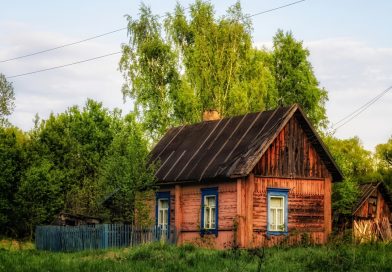 Naastes töölt välismaalt, otsustasin müüa oma vanemate maja, kuid õues ootas mind üllatus: seal elas juba keegi Naastes töölt välismaalt, otsustasin müüa oma vanemate maja, kuid õues ootas mind üllatus: seal elas juba keegi