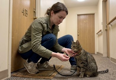 Naaber kadus, jättes mulle kassi — kuid mõne nädala pärast leidsin kaelarihmast võtme ja märkme Naaber kadus, jättes mulle kassi — kuid mõne nädala pärast leidsin kaelarihmast võtme ja märkme