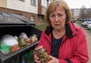 Olen 72-aastane. Ja eelmisel pühapäeval leidsin oma konservipurgid prahikastist oma poja maja alt…