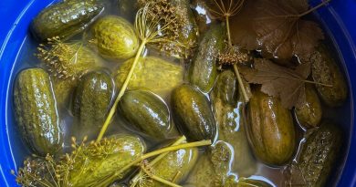 MO VANAEMA HAPENDAS NEID KURKE IGAL SUVEL: EI MINGIT KEETMIST, EI MINGIT STERILISEERIMIST, AGA NII KRÕMPSUD, ET NAABRID PALUSID RETSEPTI! MO VANAEMA HAPENDAS NEID KURKE IGAL SUVEL: EI MINGIT KEETMIST, EI MINGIT STERILISEERIMIST, AGA NII KRÕMPSUD, ET NAABRID PALUSID RETSEPTI!
