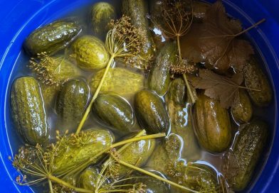 MO VANAEMA HAPENDAS NEID KURKE IGAL SUVEL: EI MINGIT KEETMIST, EI MINGIT STERILISEERIMIST, AGA NII KRÕMPSUD, ET NAABRID PALUSID RETSEPTI! MO VANAEMA HAPENDAS NEID KURKE IGAL SUVEL: EI MINGIT KEETMIST, EI MINGIT STERILISEERIMIST, AGA NII KRÕMPSUD, ET NAABRID PALUSID RETSEPTI!