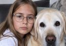 Mu tütar ei rääkinud kaks aastat pärast õnnetust. Arstid proovisid kõike. Ühel päeval tõi mu õde vabatahtlikuna meie koju teraapiakoera — vana labradori. Ja kolmandal päeval ei uskunud ma oma kõrvu…