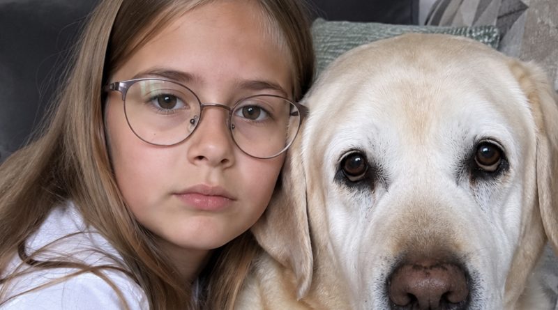 Mu tütar ei rääkinud kaks aastat pärast õnnetust. Arstid proovisid kõike. Ühel päeval tõi mu õde vabatahtlikuna meie koju teraapiakoera — vana labradori. Ja kolmandal päeval ei uskunud ma oma kõrvu…