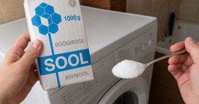 Piisab ühest supilusikatäiest: miks mõned perenaised lisavad pesemisel soola