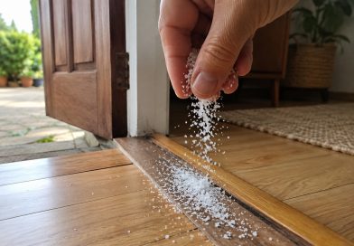 Sellepärast tasub puistata soola otse läve juurde: 9 kasulikku viisi, kuidas seda kodus kasutada Sellepärast tasub puistata soola otse läve juurde: 9 kasulikku viisi, kuidas seda kodus kasutada