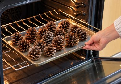 Kui tood männikäbid metsast tuppa, ära pane neid kohe kaunistuseks. Kõigepealt tee nendega seda… Kui tood männikäbid metsast tuppa, ära pane neid kohe kaunistuseks. Kõigepealt tee nendega seda…