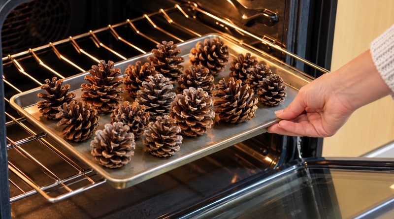 Kui tood männikäbid metsast tuppa, ära pane neid kohe kaunistuseks. Kõigepealt tee nendega seda… Kui tood männikäbid metsast tuppa, ära pane neid kohe kaunistuseks. Kõigepealt tee nendega seda…